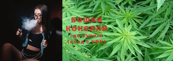 гидра Лихославль