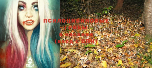 молекула духа Лиски